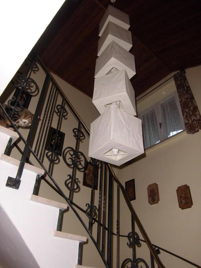 Appartements Haus Schmalzl Viehhofen Exteriör bild